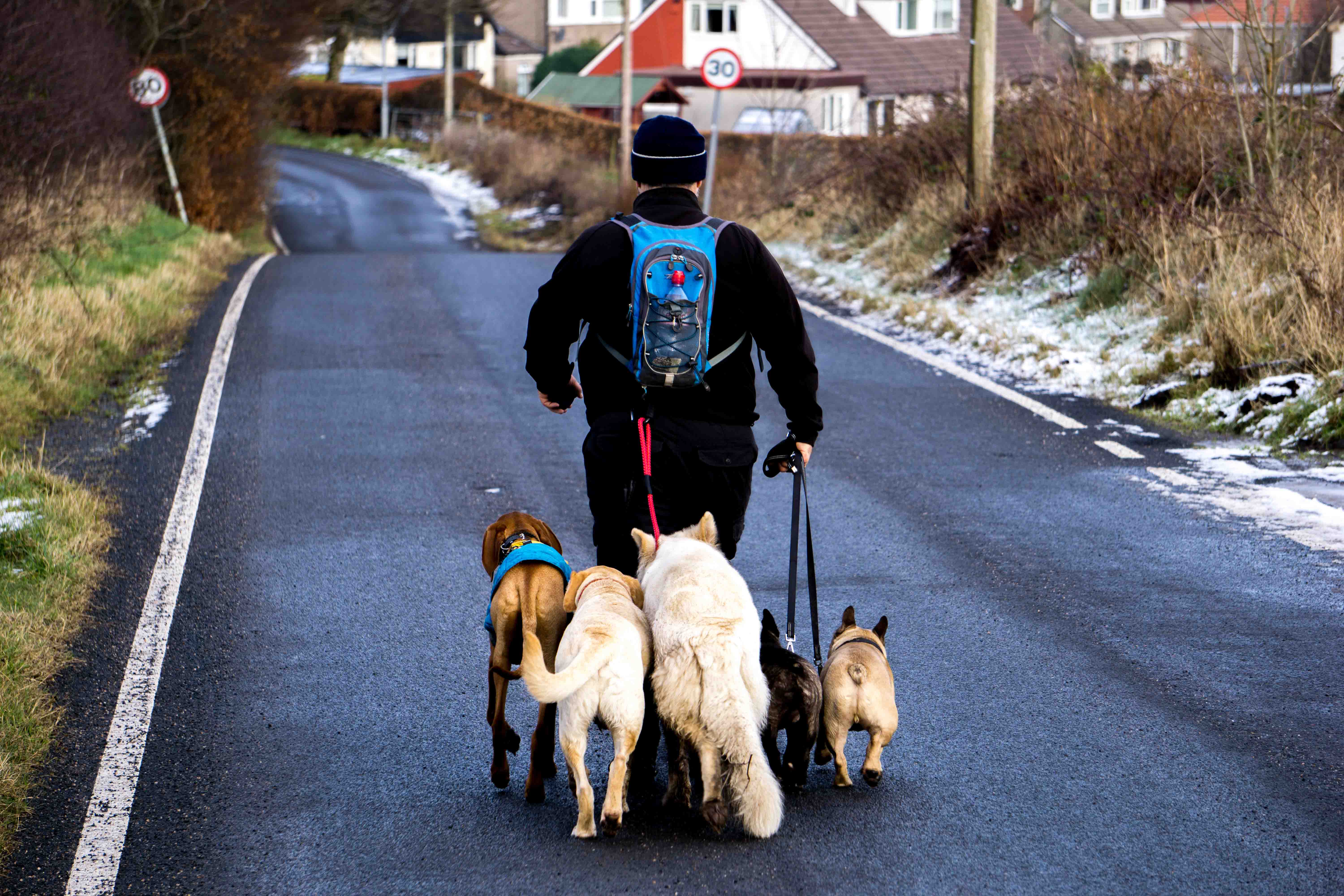 pack-walk